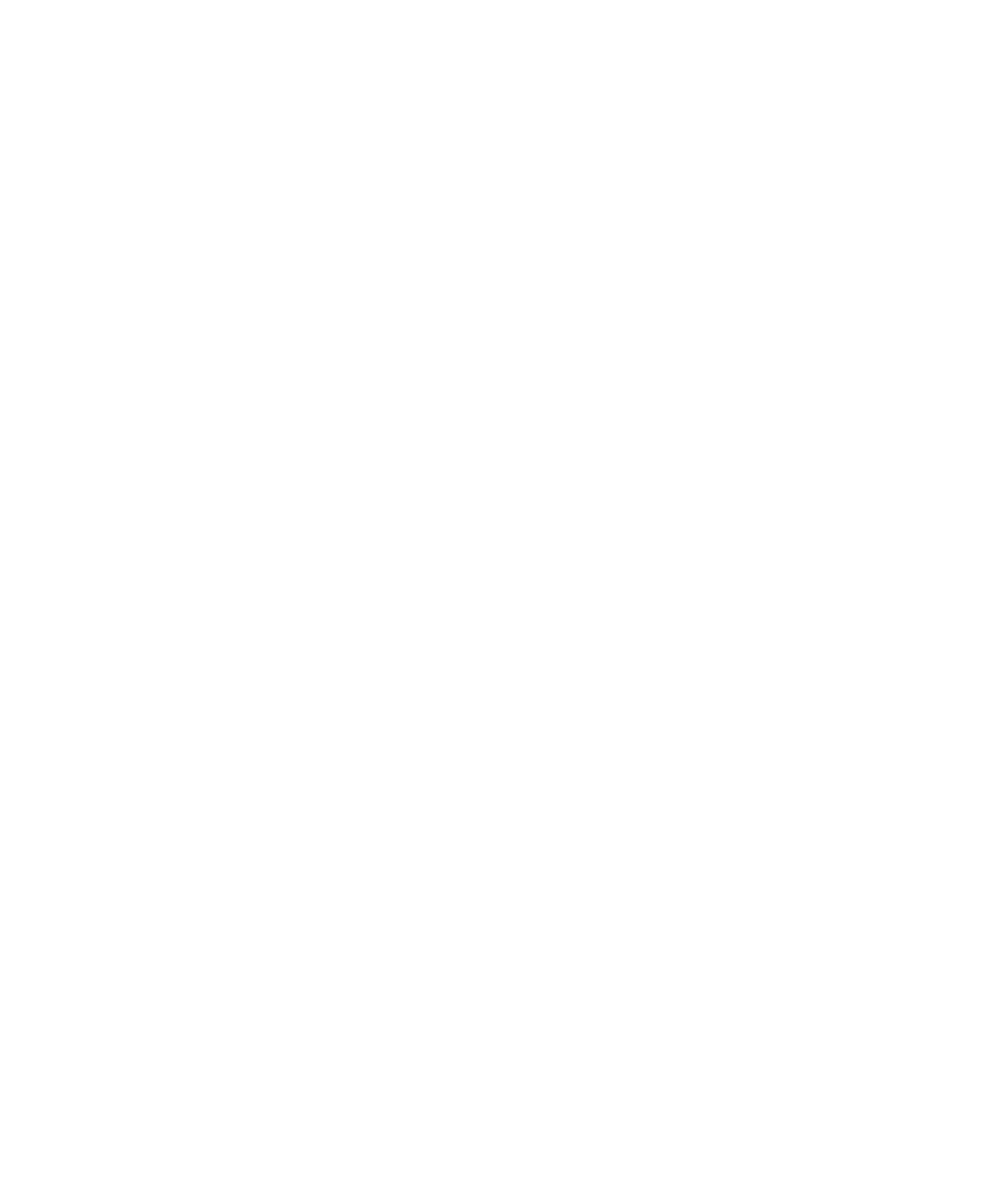 Logo INretail