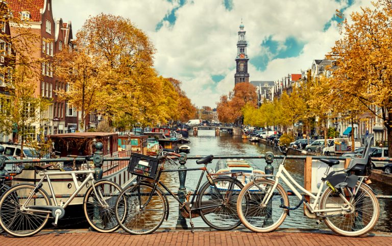 Areaal Advies Platform De Nieuwe Winkelstraat